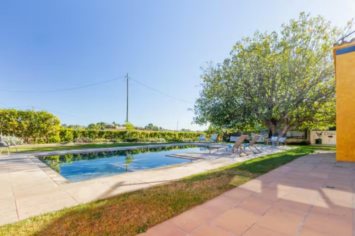 Masia Cal Sisplau, Con Piscina Y Rodeada De Vinedos A 10 Minutos De Vilafranca Del Penedes, Barcelona ,Cataluna San Martín Sarroca Exteriör bild